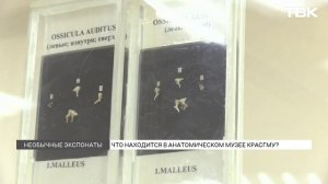 Что находится внутри музея анатомического тела в Красноярске?