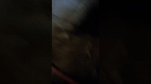 Партизанская 67 промывка WhatsApp Video 2025-05-29 at 15.10.57