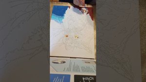 рисую#картину#по номерам #с котом# результат#в конце