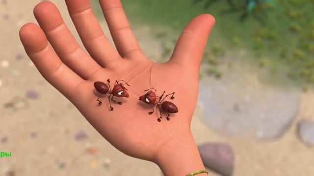 Маракуда. Мультфильм 2025. Русский трейлер мультфильма. смотреть онлайн