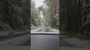 2. едем на дачу. снежная красота 29.05.25