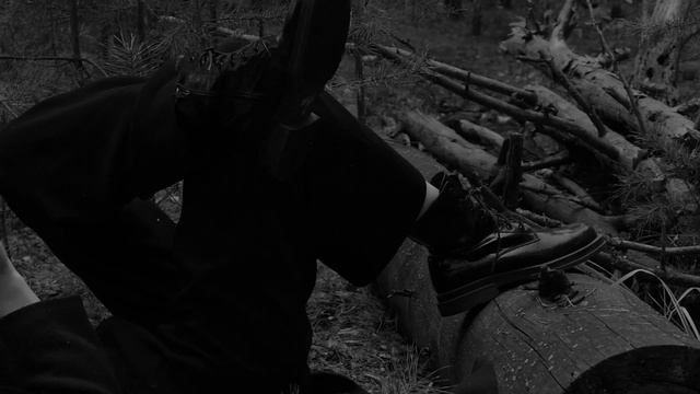 Темный лес // Dark Forest смотреть онлайн