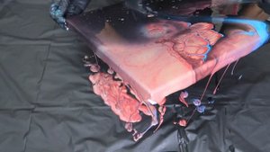 Fluid Art Pour | Acrylic Pouring Technique | Three Simple Colors | Abstract Art |CELLS