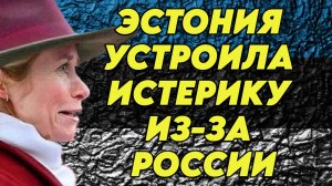 Эстония устроила истерику из-за России