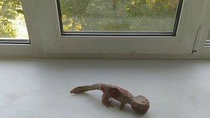 мои монстры из пластилина  6