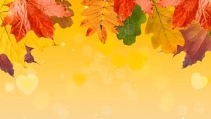 ПРАЗДНИК ОСЕНИ В ЛЕСУ (Плюс)