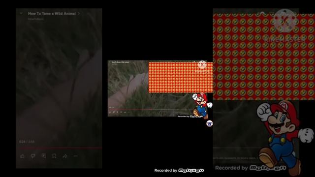 Mario, Dog attacked by the Wild Animal by HowToBasic. Really funny🤣🤣🤣🤣