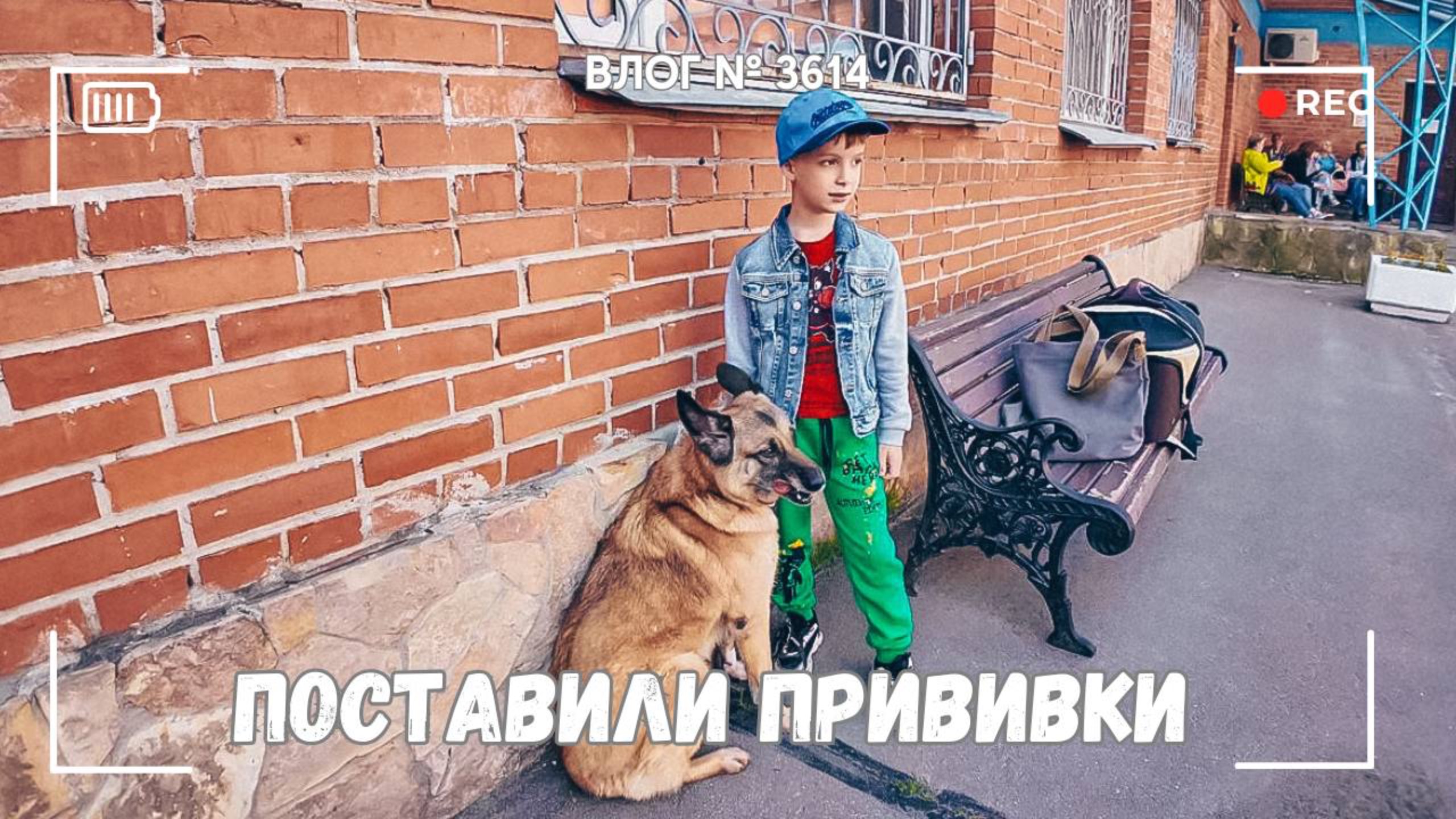 Поставили прививки Рексе  | Что с моим телефоном? -  ВЛОГ №3614 - 28.05.25