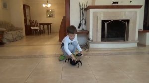 Мистер Макс • Mister Max - Игрушки на Радио управлении