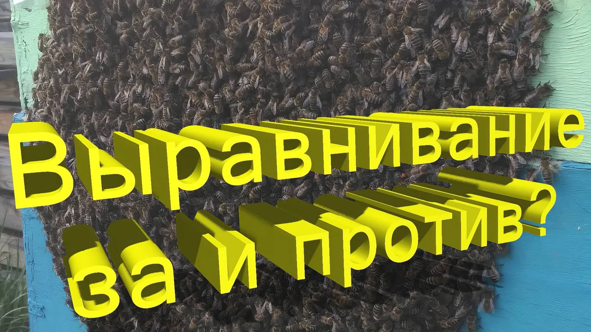 Выравнивание пчелосемей — миф или необходимость? Разоблачение от Кашковского