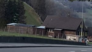 *Когда он выгнал её из её же квартиры, она истерик не за