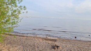 Карта дня от Финского залива 🐬🌊💦🩵☀️