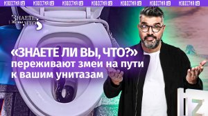 Фекальная «ловушка» для змей. «Знаете ли вы, что?»: канализационные «шалости» смертельны для гибких