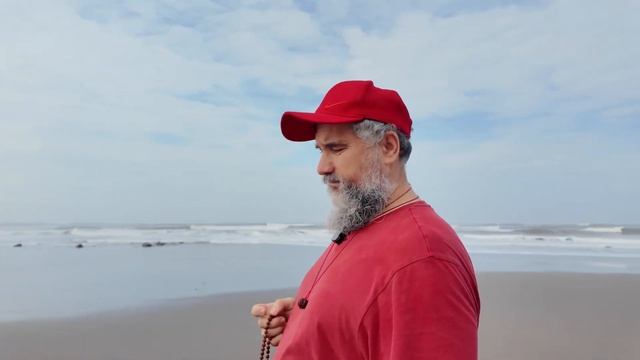 Чему учит Свами Вишнудевананда Гири?