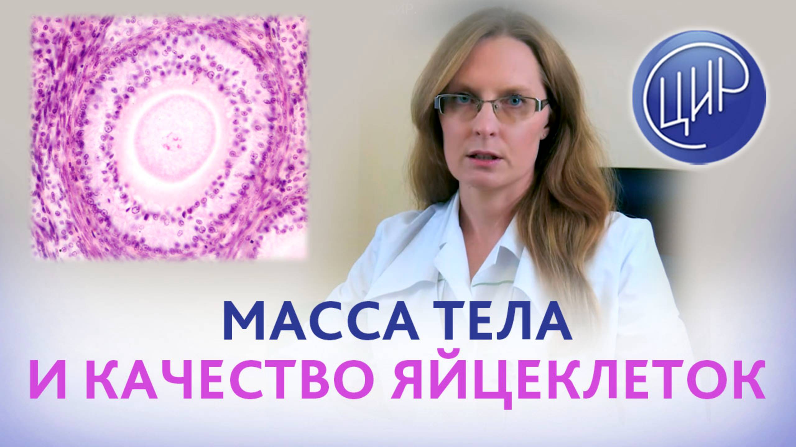 Индекс массы тела и качество ооцитов. Врач акушер-гинеколог ЦИР, Анна Игоревна Дрожжина.