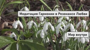 СОЕДИНЕНИЕ МУЖСКОГО И ЖЕНСКОГО | Медитация Гармонии в Резонансе Любви