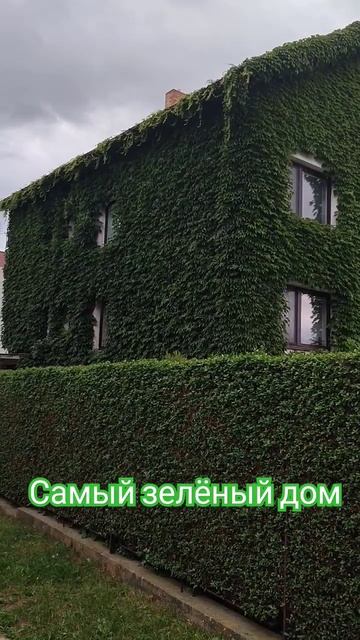 Самый зелёный дом по сезону. смотреть онлайн