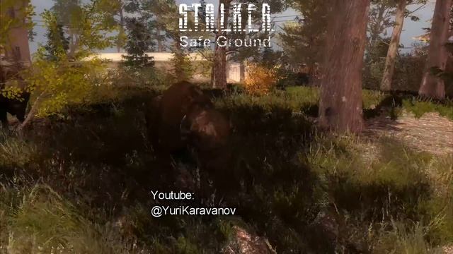 S.T.A.L.K.E.R. Safe Ground - Зубр