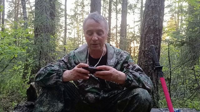 Ночь в лесу.