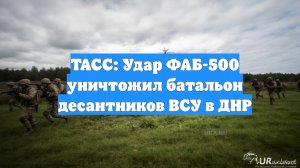 ТАСС: Удар ФАБ-500 уничтожил батальон десантников ВСУ в ДНР