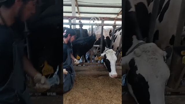 1000002147.mp4