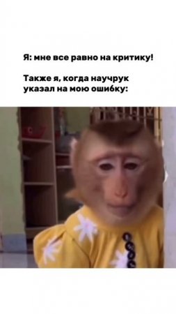Я адекватно воспринимаю критику!