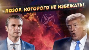НАТО в Гааге: унижение, которое войдёт в историю