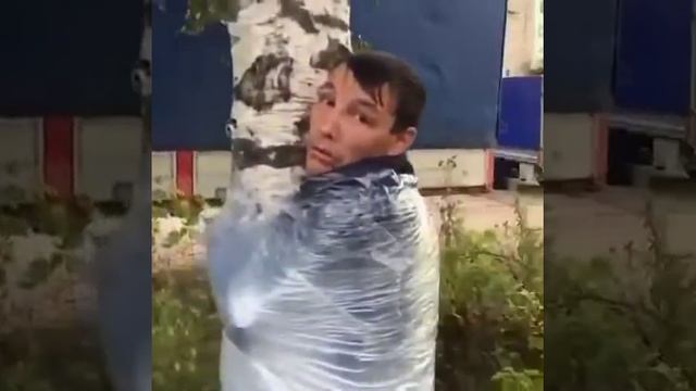 Свизали к дереву за....