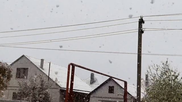 СВЯЗАЛА ШАПКУ за один вечер //  День бухгалтера  // наши котята смотреть онлайн