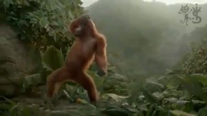 Ура!!!!!! Суббота !!!!!