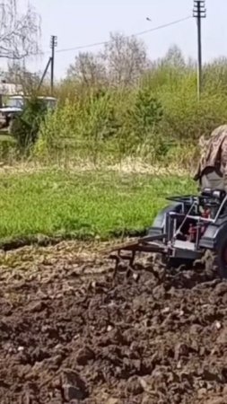 МТЗ с адаптером пашет землю  плугом .