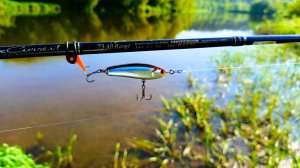 Спиннинг на малой реке. Первый ГОЛАВЛЬ. ОКУНЬ, ЩУКА на воблеры, стики и микроджиг!