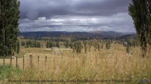 Почему сюда НЕ ЛЕТАЮТ самолёты - Creepy Story -- Omura -- The Whales Bay