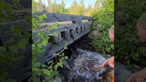 как убрать бобро-курвовское вредительство под мостом