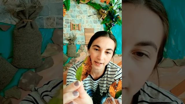 Дистанційне навчання Аплікація "Осіннє листя" смотреть онлайн