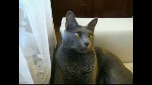 А почему я как что так сразу косой косой