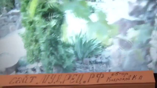 Как сделать ланшафт, бассеин своими руками К.А Кобраков, что сделал это сам,когда не занят борьбой смотреть онлайн