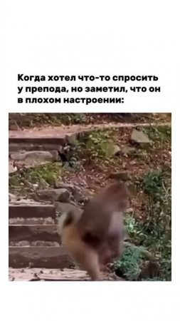 Аккуратно