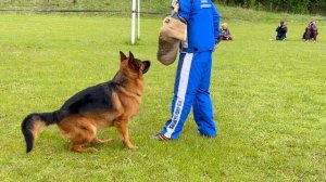 4 О/Отл. Оберлауф АВАНГАРД +++ №32 / Кубок Беларуси 17 мая`25 M.Jovovic Моно нем.овч.