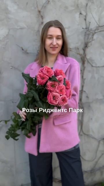 Наличие и цены в телеграм lasflorescorp ⬅️ вбивайте в поиск #спб #цветы #цветыспб смотреть онлайн