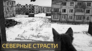 Северные страсти (Мистическая история)