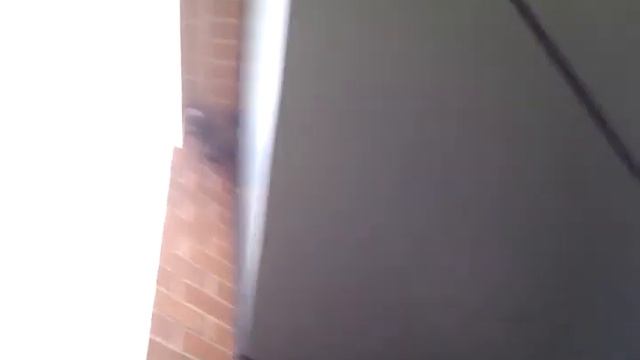 Ласточки-2 смотреть онлайн