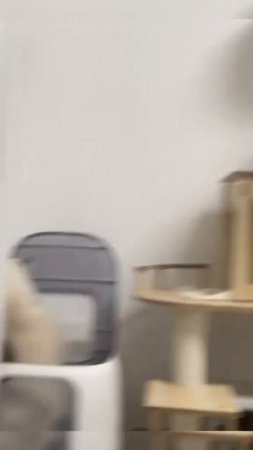 Слез как и задумывал