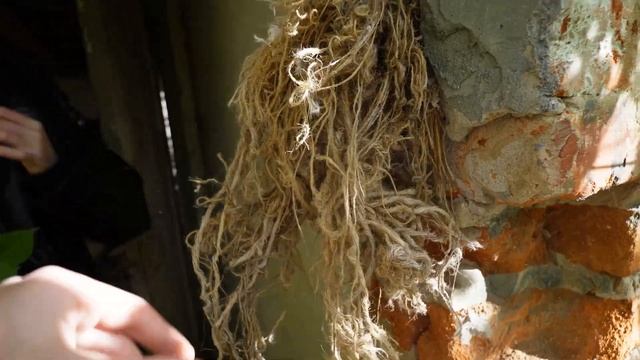 ВЛАДА А4 сожрал МЕДВЕДЬ в лесу ! смотреть онлайн