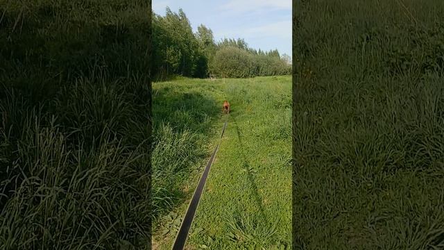 rutube.ru