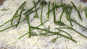 Форель Эрланген