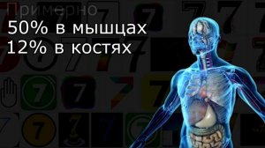 Сколько жидкости в теле человека?