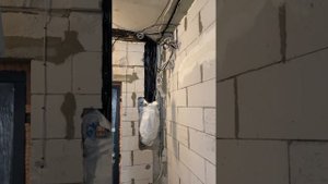 Электрика в двухкомнатной квартире  перед штукатурко?