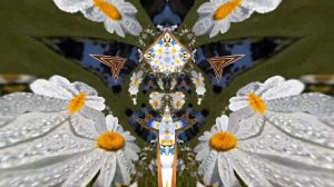 ФотоШоу PRO!!! Проекты ФотоШоу PRO! Проект Ромашковое лето 3!!! Ромашковая галерея!!!