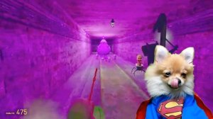 СКИБИДИ ТУАЛЕТ посадил ПРЫЩ на ПОПУ ТВ ВУМЕН! Skibidi Toilet G